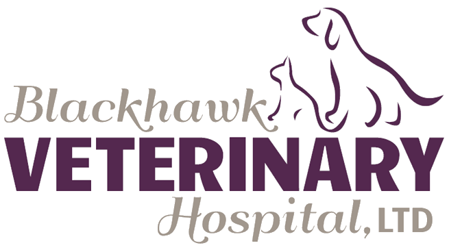 Blackhawk Veterinary Hospital logo